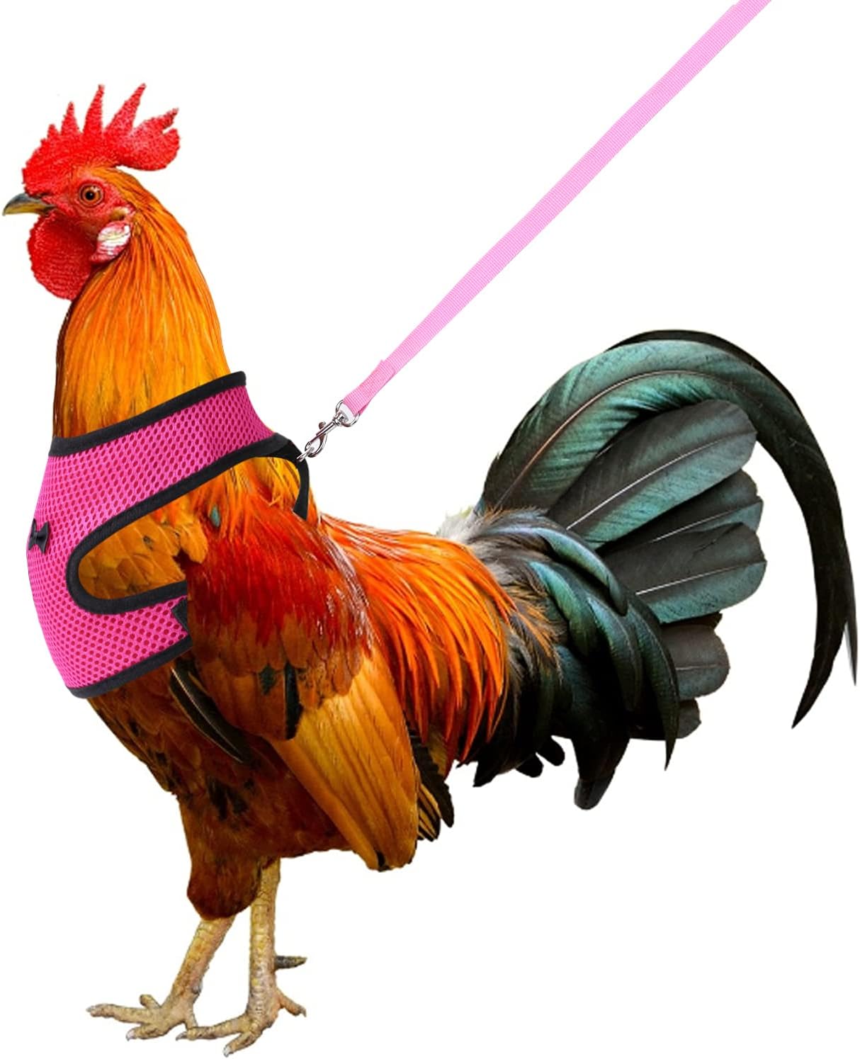 Molain Arnés de pollo con correa ajustable, transpirable, chaleco para mascotas, arnés para mascotas, para pato, ganso, gallina, caminata, mediano (rosa)